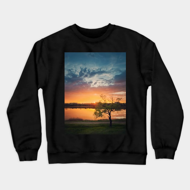 willow against sunset Crewneck Sweatshirt by psychoshadow